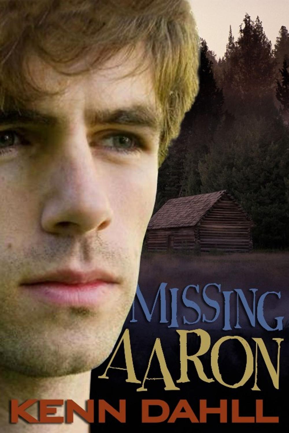 Big bigCover of Missing Aaron