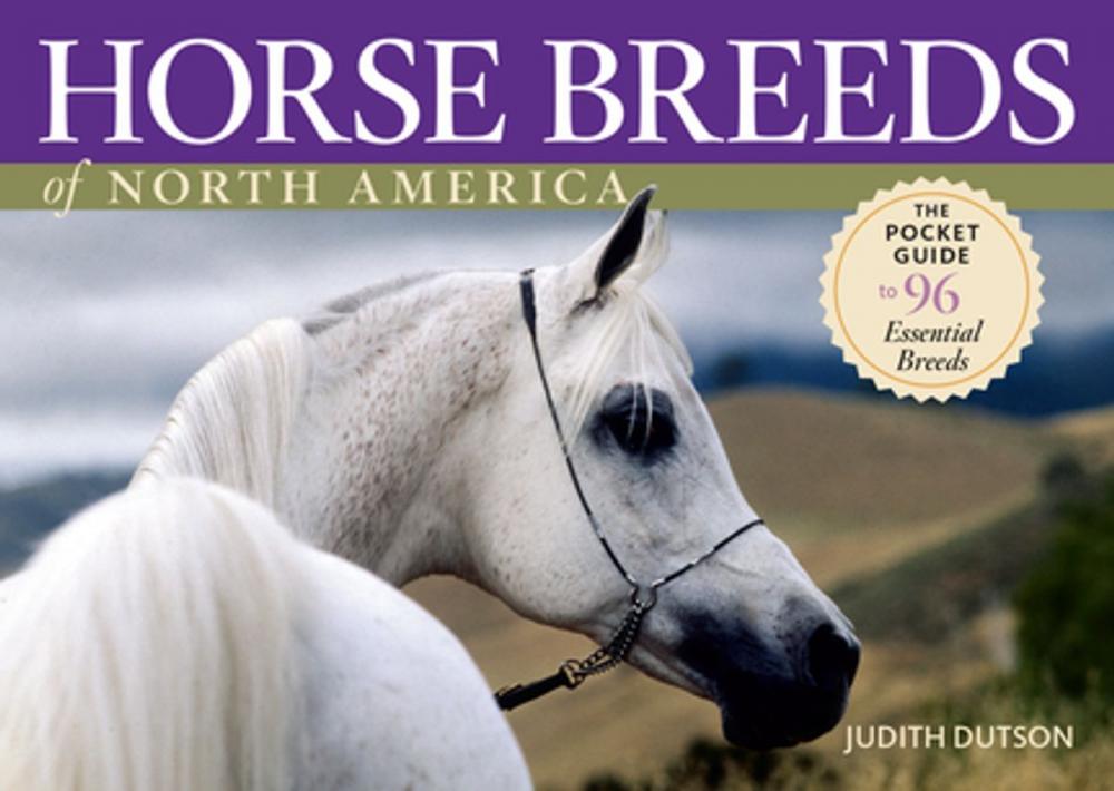 Big bigCover of Horse Breeds of North America