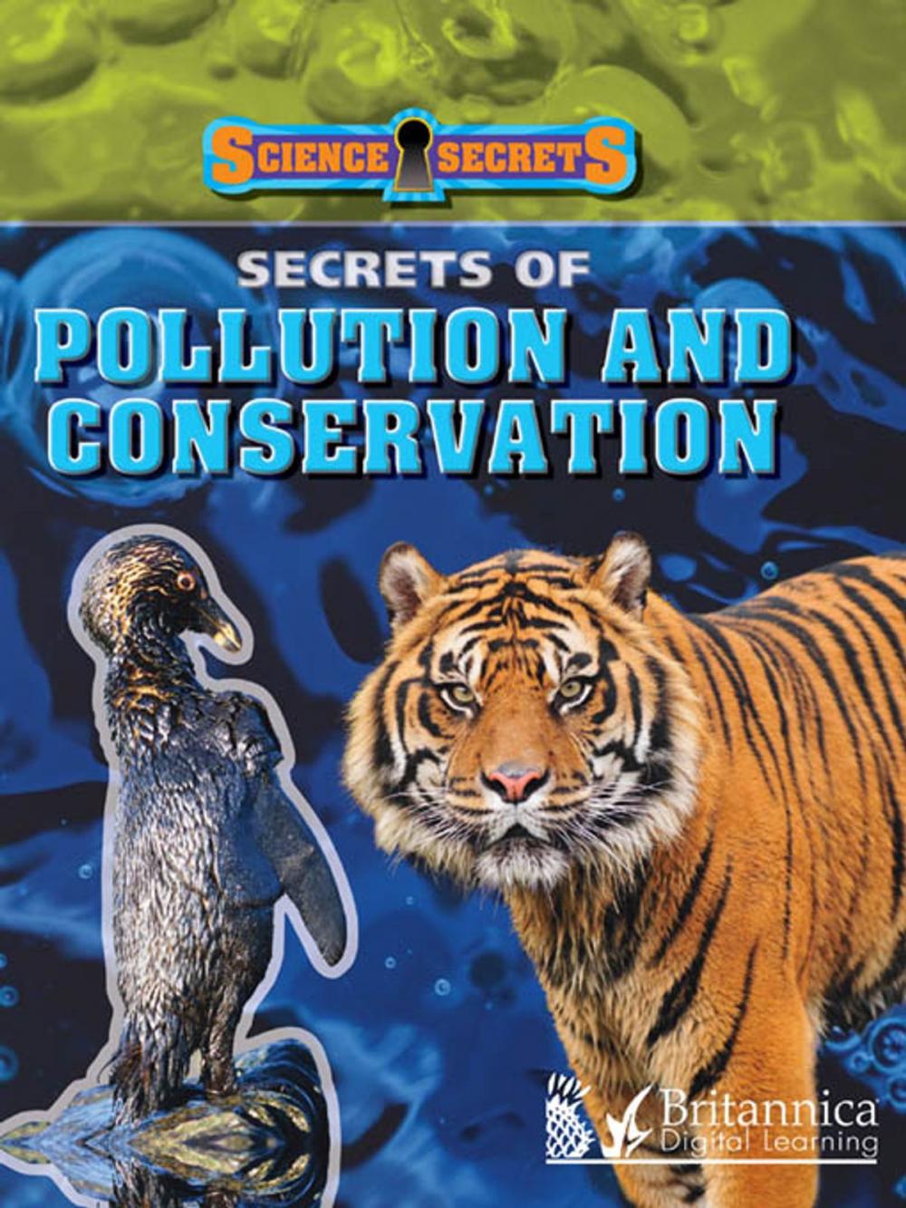 Big bigCover of Secrets of Pollution and Conservation