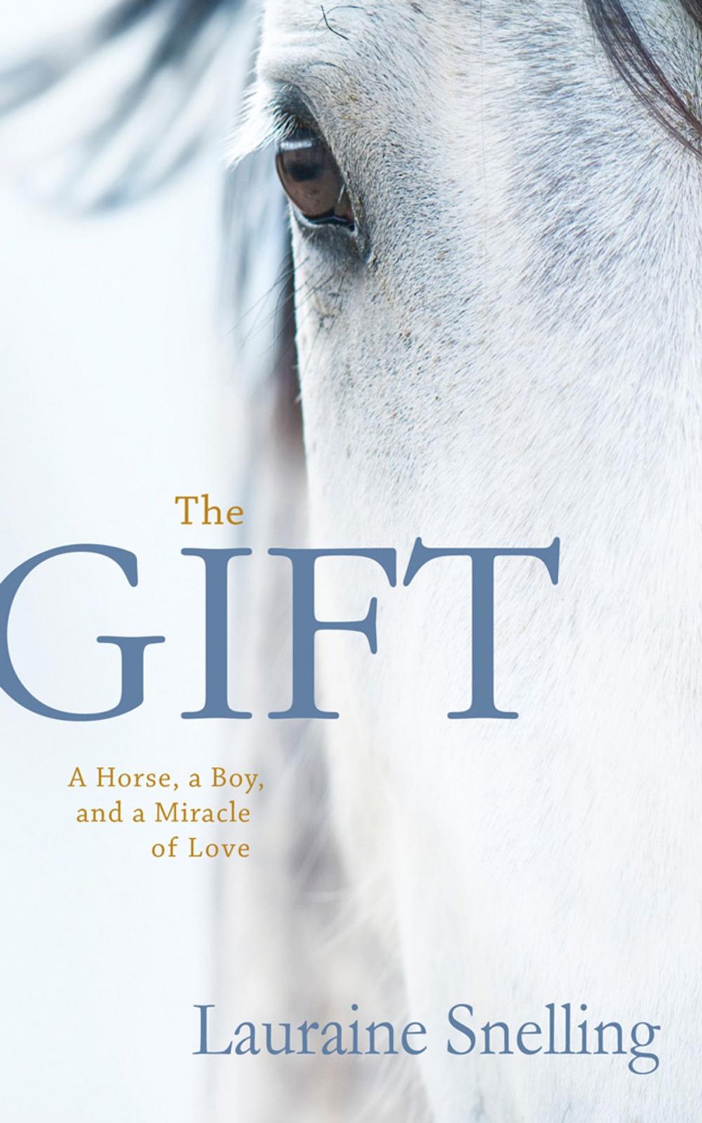 Big bigCover of The Gift