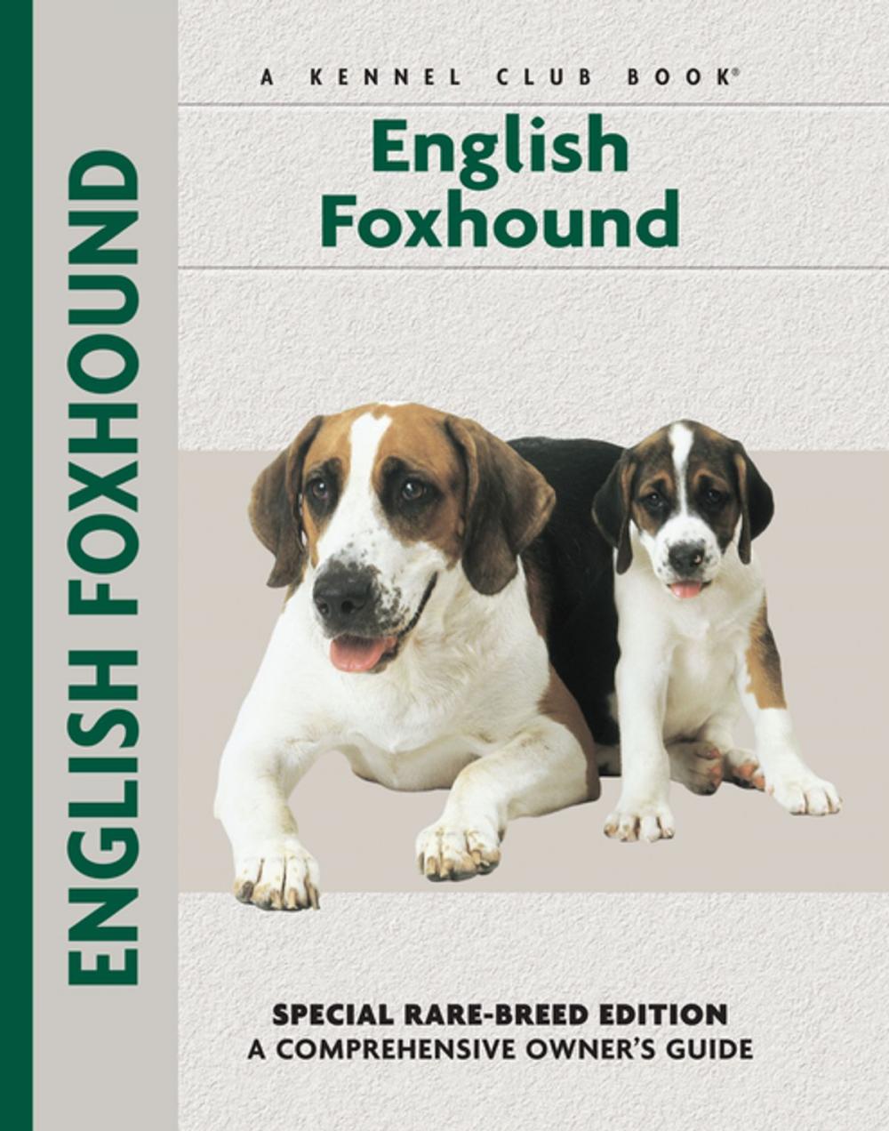 Big bigCover of English Foxhound