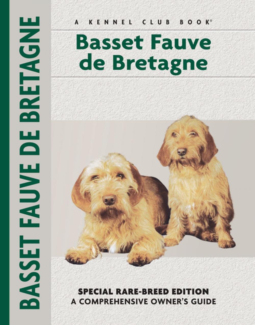 Big bigCover of Basset Fauve De Bretagne