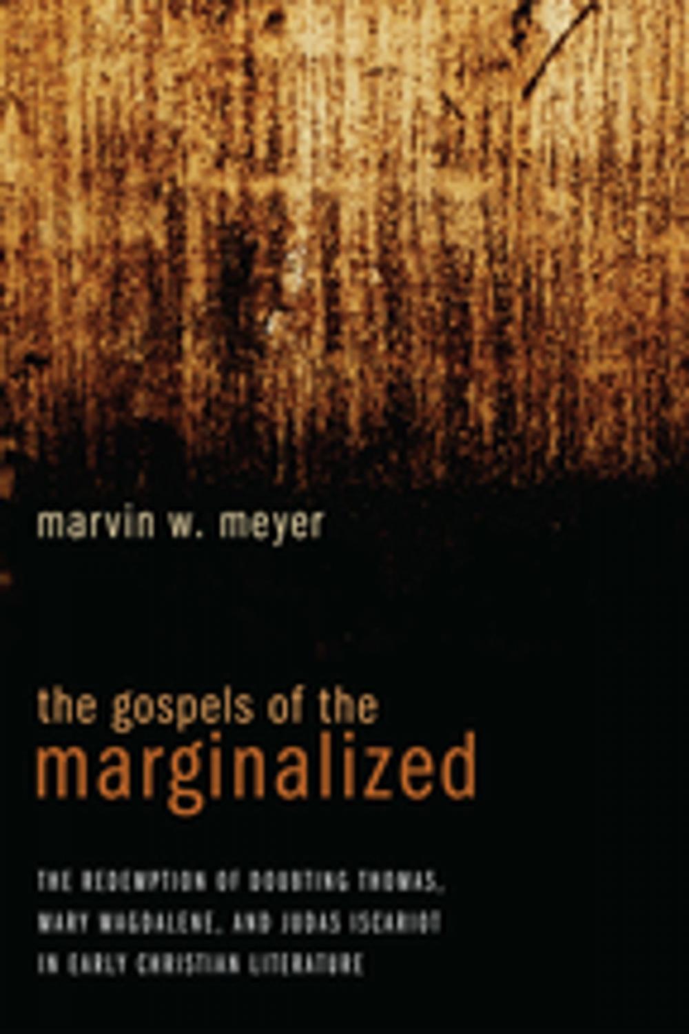 Big bigCover of The Gospels of the Marginalized