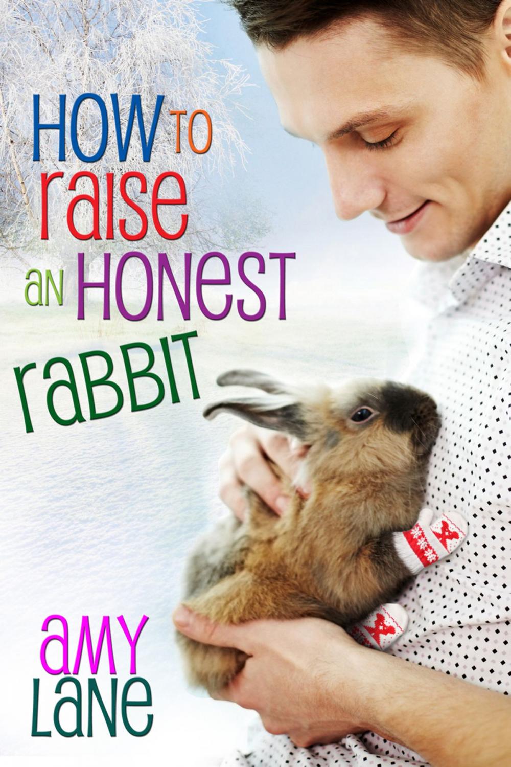 Big bigCover of How to Raise an Honest Rabbit