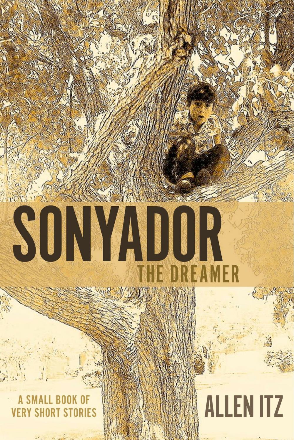 Big bigCover of Sonyador (The Dreamer)