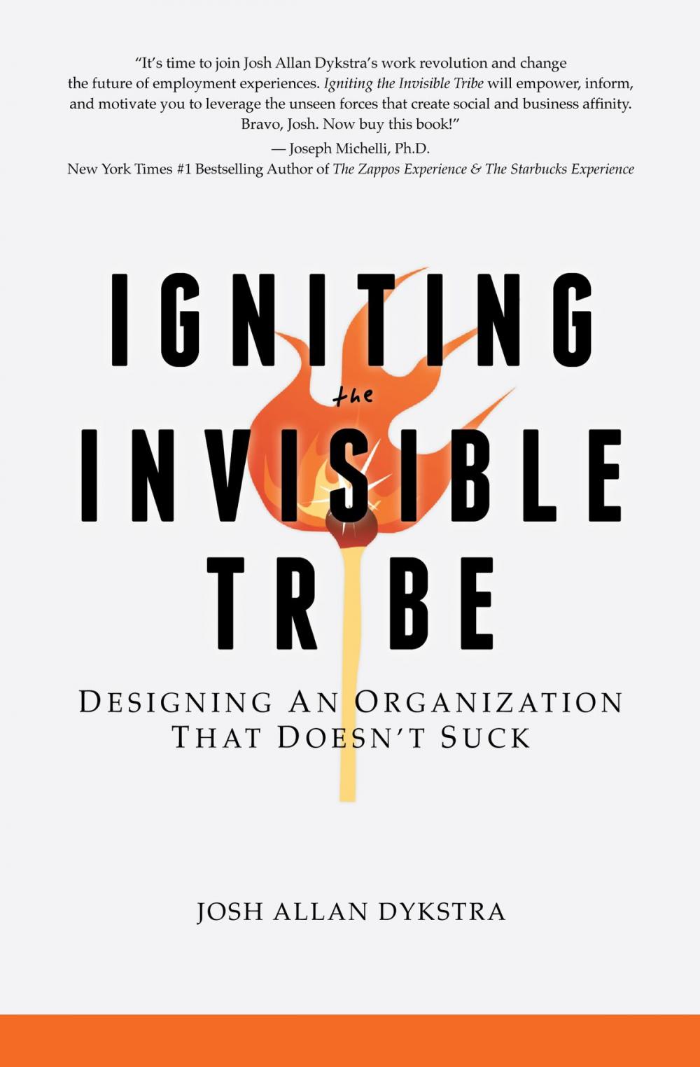 Big bigCover of Igniting the Invisible Tribe