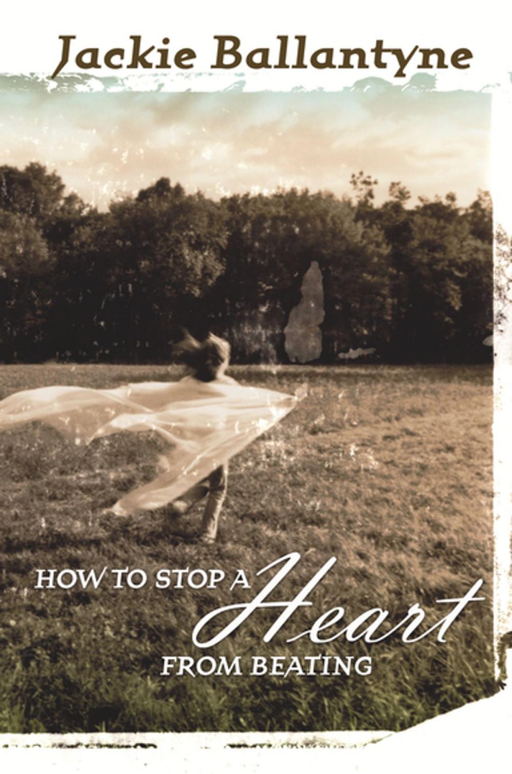 Big bigCover of How to Stop a Heart from Beating