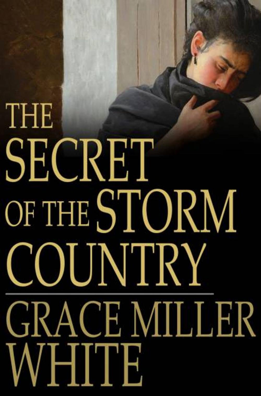 Big bigCover of The Secret of the Storm Country