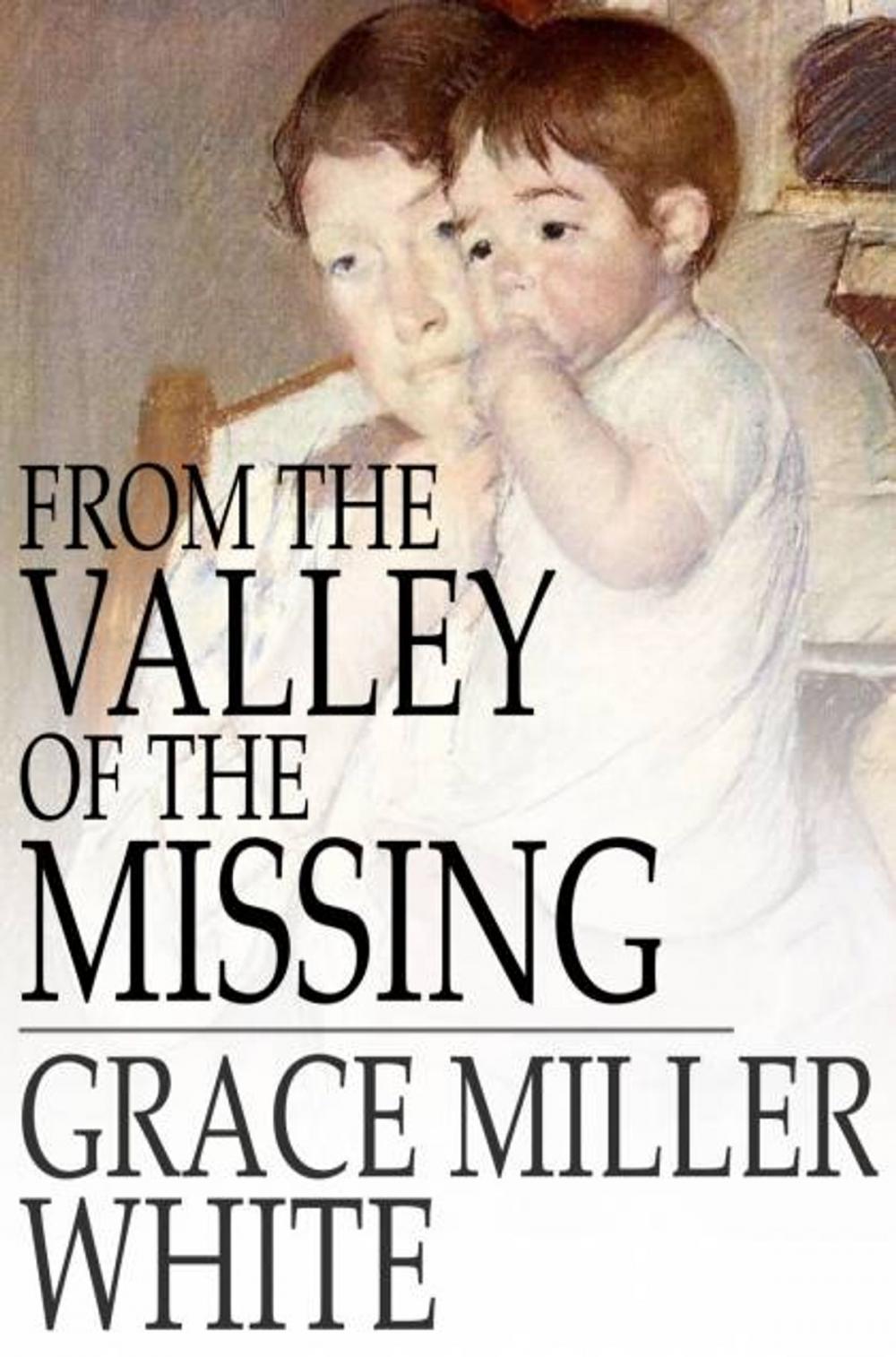 Big bigCover of From the Valley of the Missing