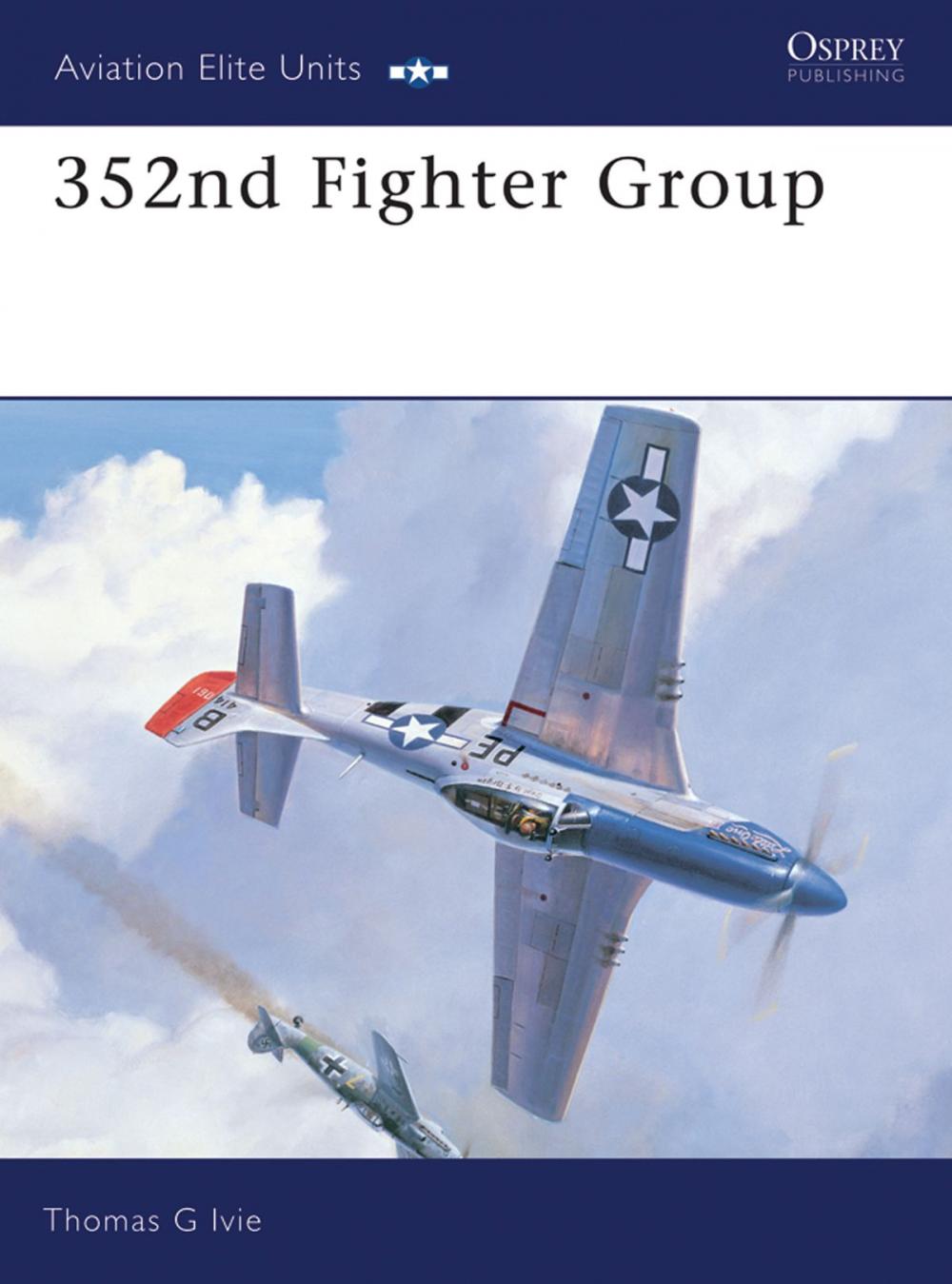 Big bigCover of 352nd Fighter Group