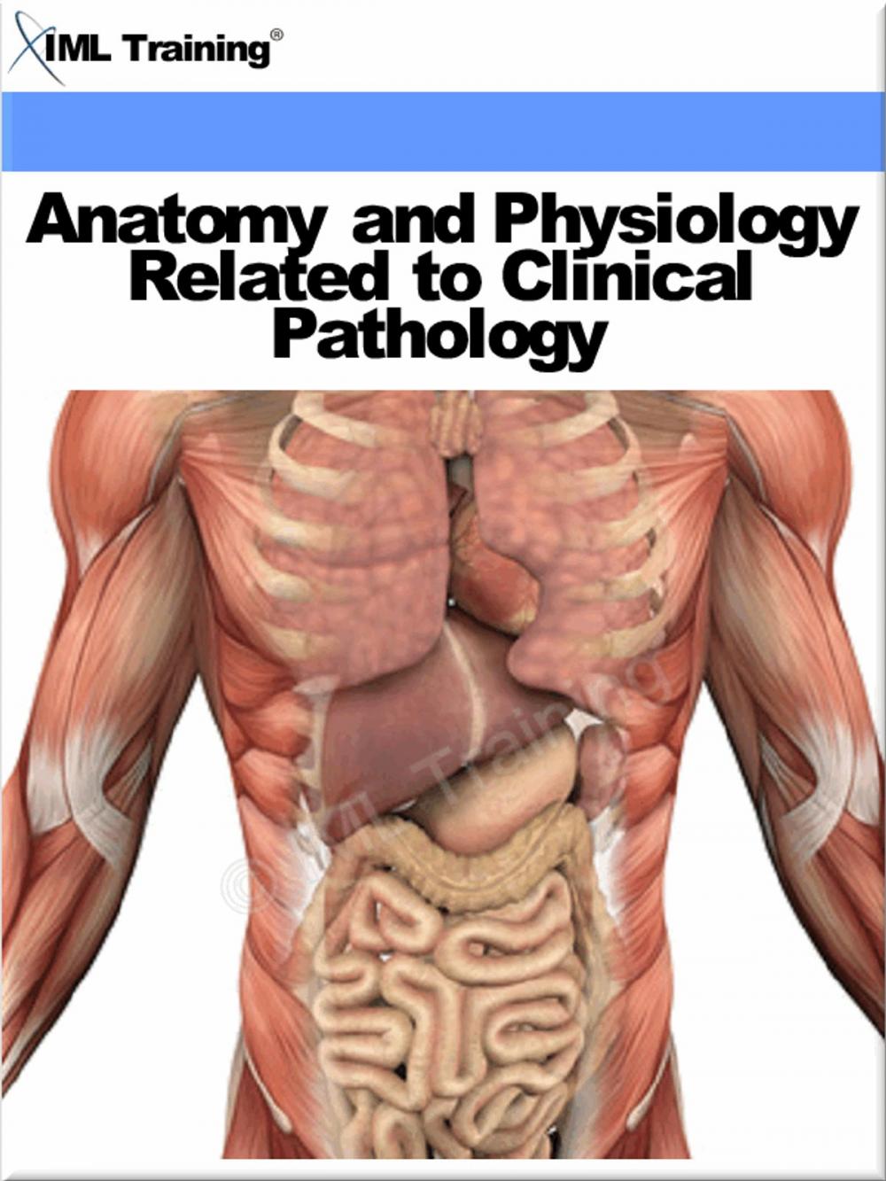 Big bigCover of Anatomy and Physiology Related to Clinical Pathology (Human Body)