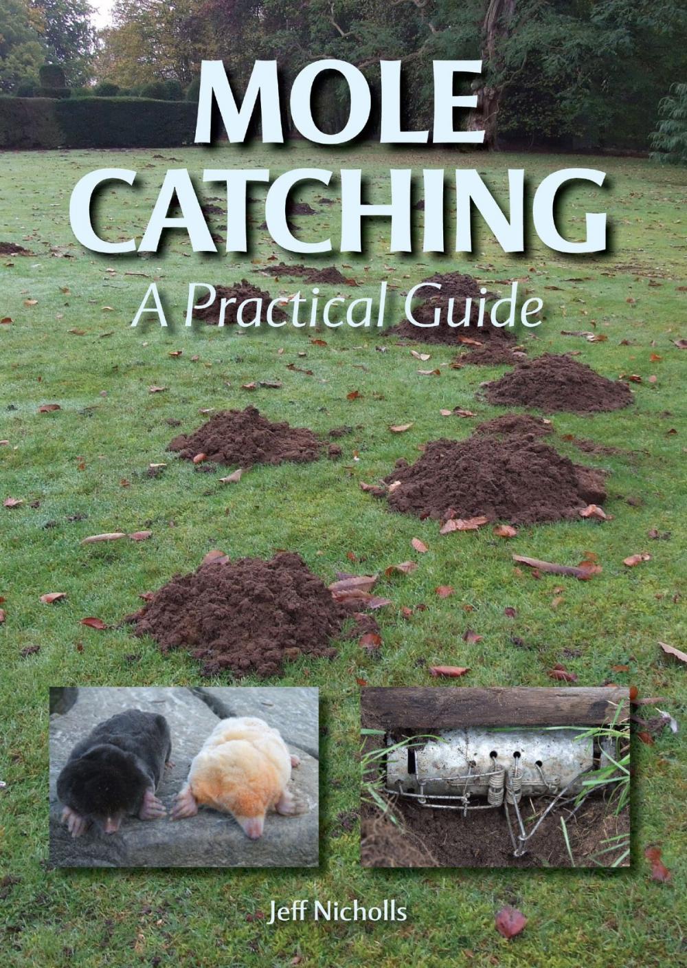 Big bigCover of Mole Catching