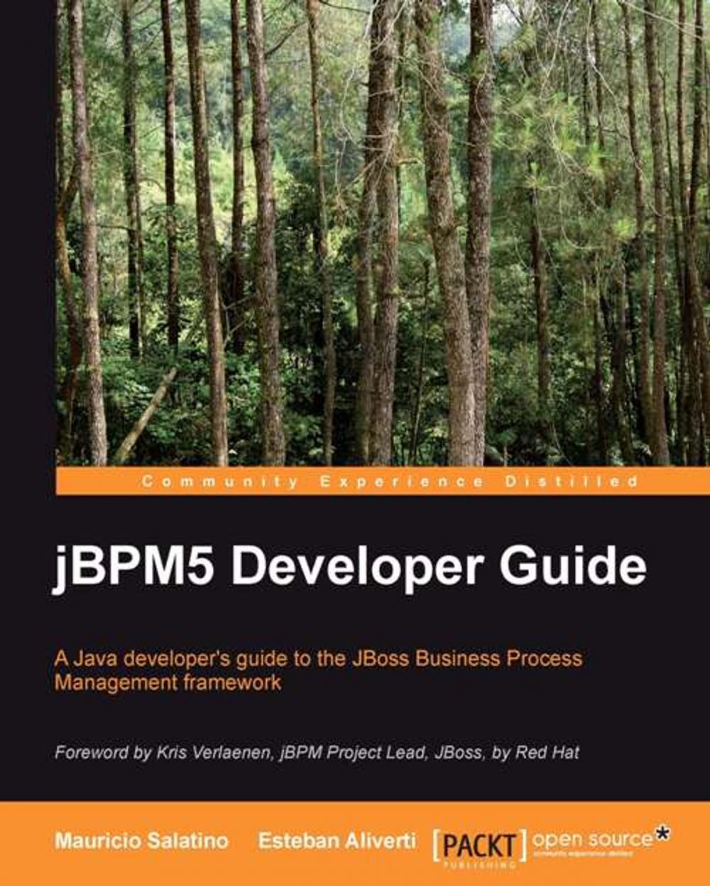 Big bigCover of jBPM 5 Developer Guide