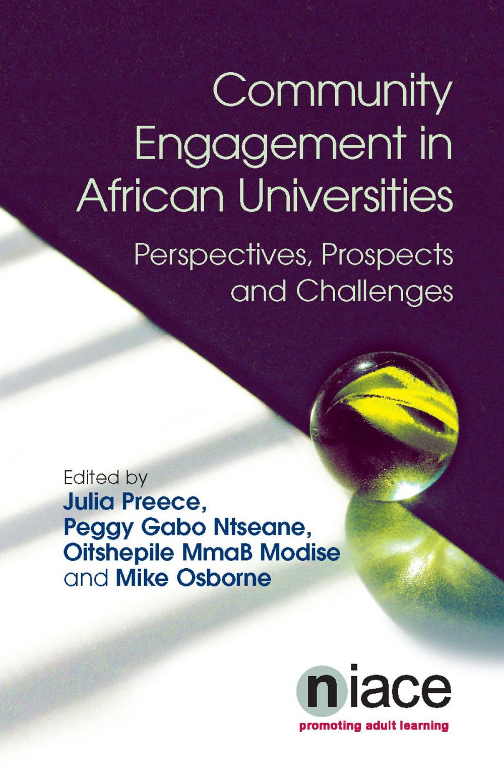 Big bigCover of Community Engagement in African Universities