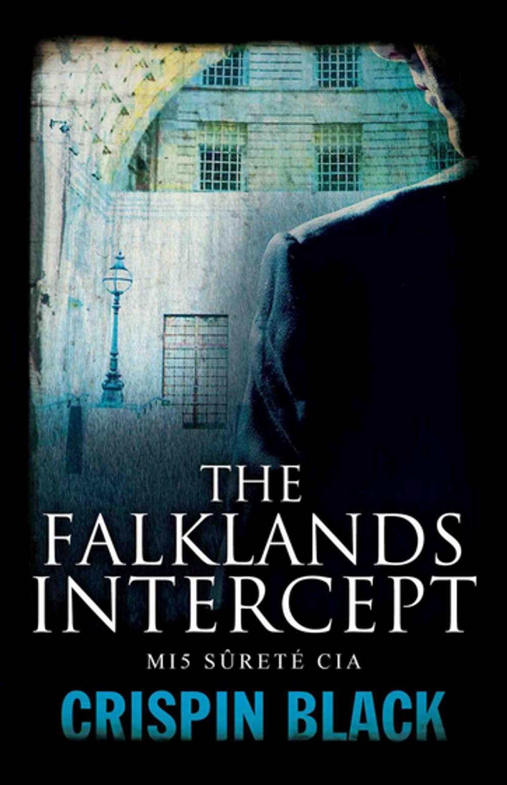 Big bigCover of The Falklands Intercept