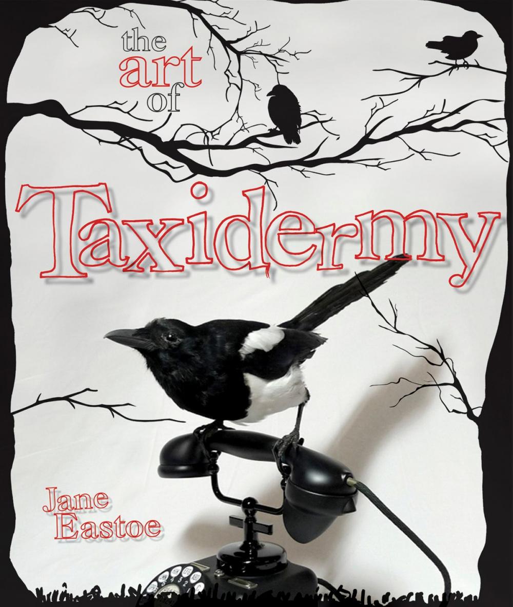 Big bigCover of The Art of Taxidermy