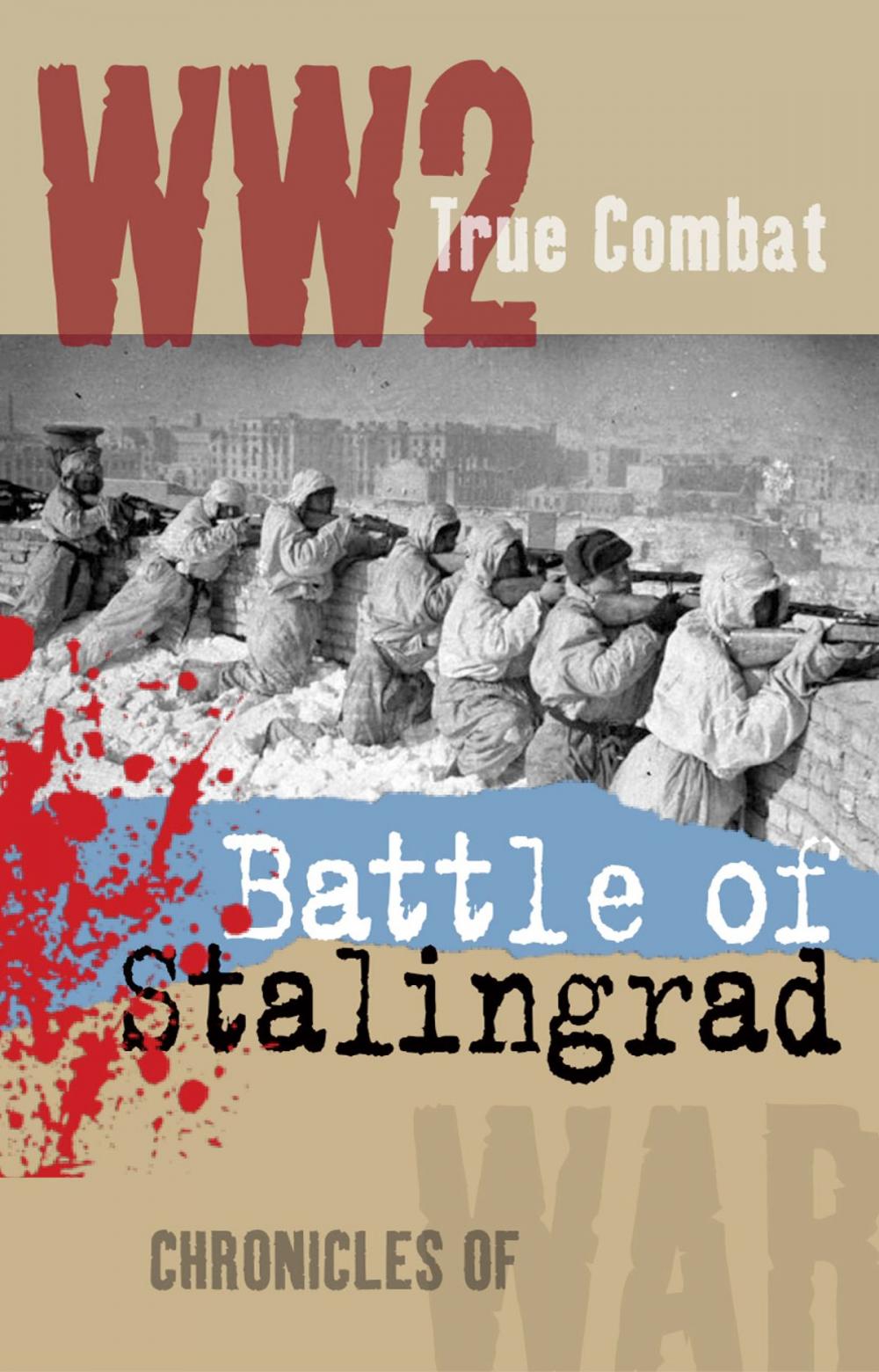 Big bigCover of Battle of Stalingrad (True Combat)