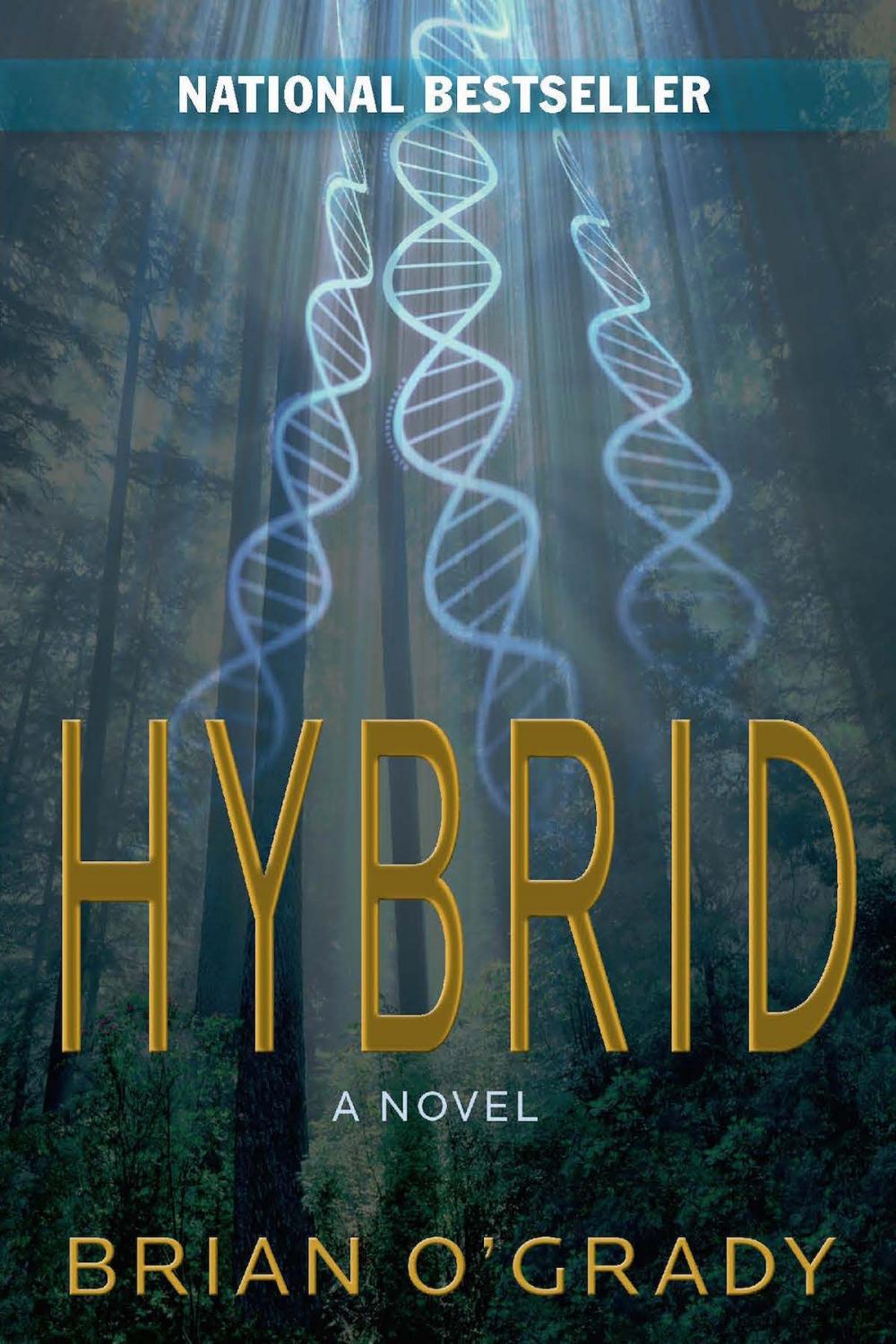 Big bigCover of Hybrid