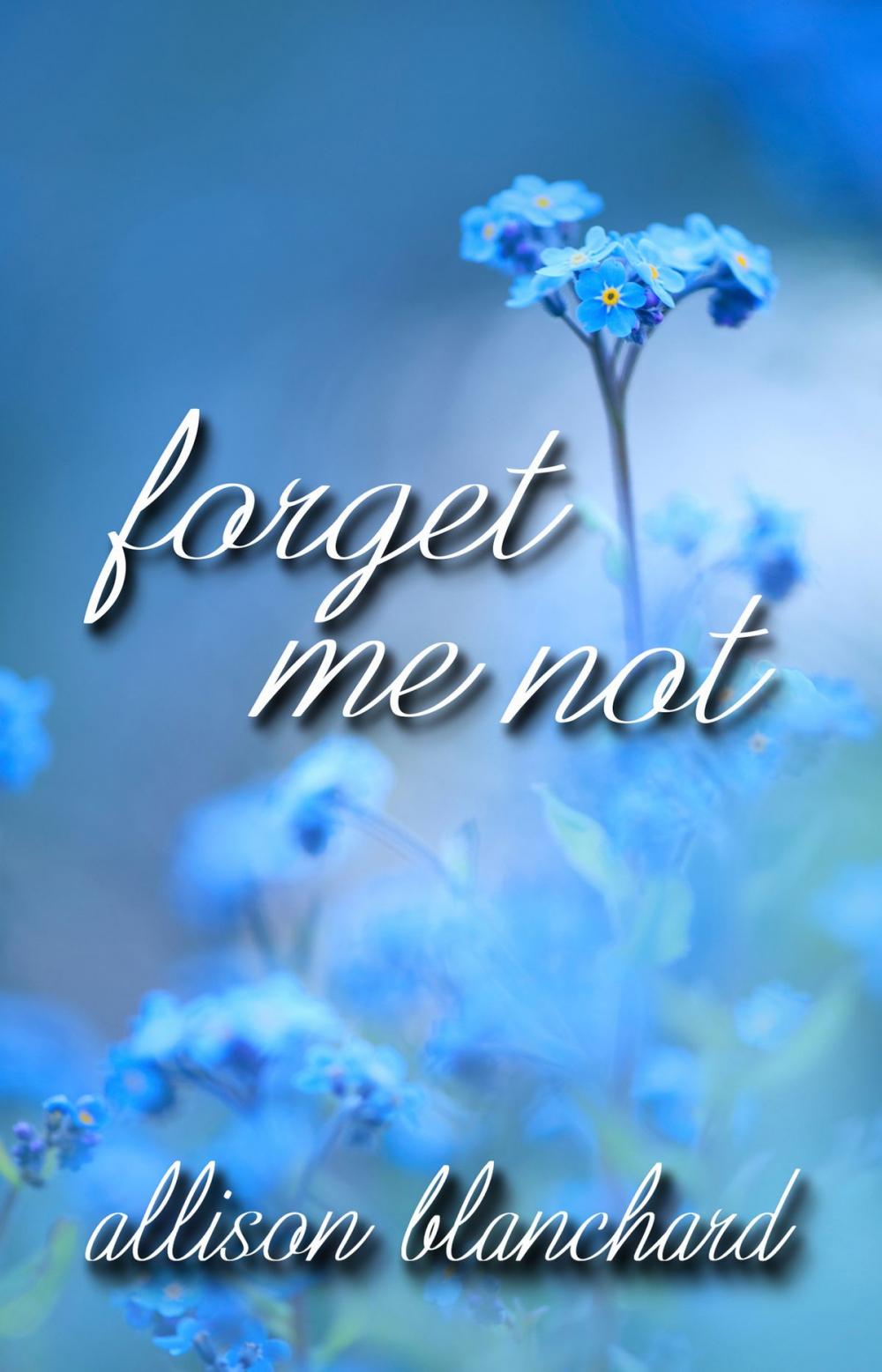 Big bigCover of Forget Me Not
