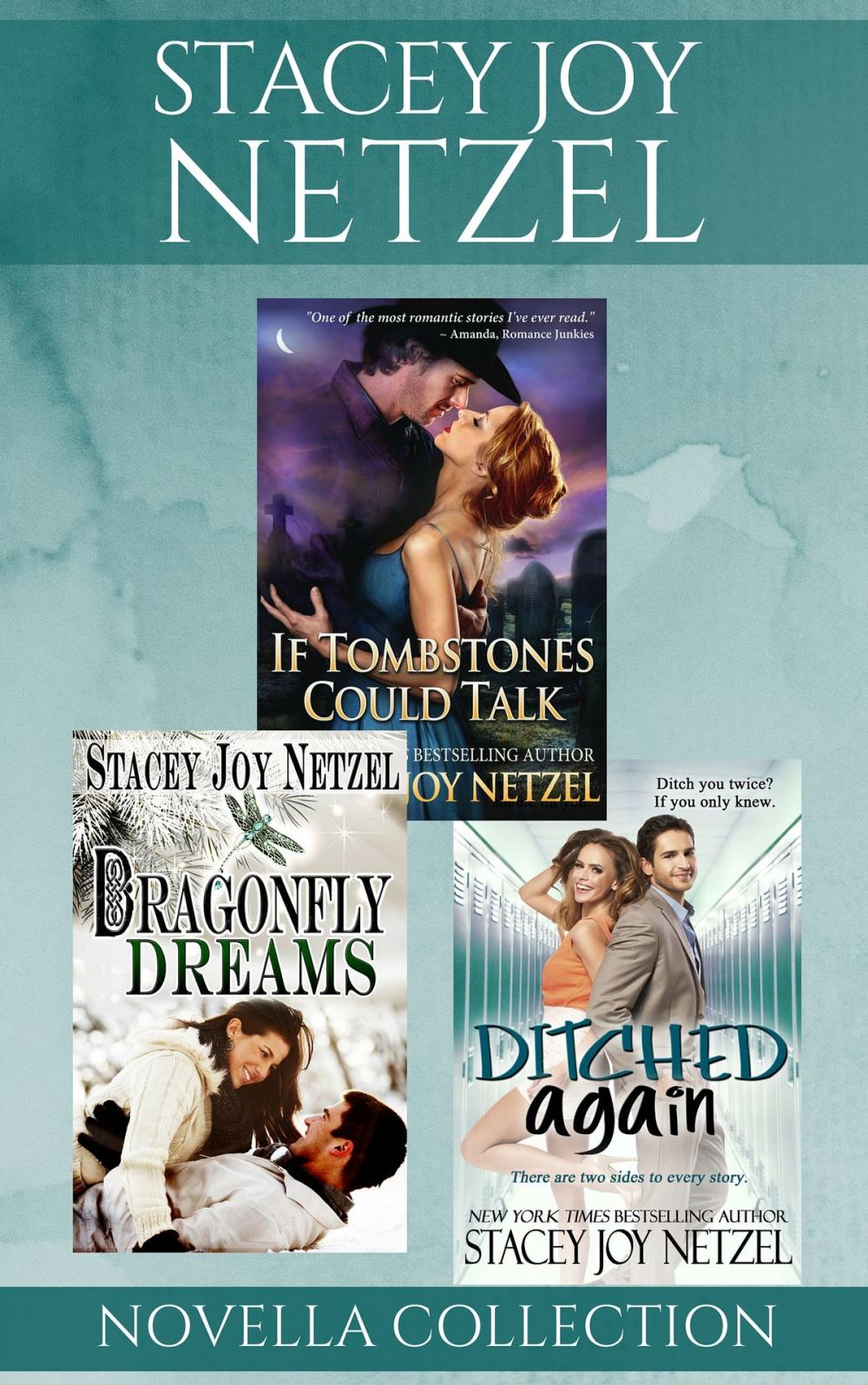 Big bigCover of Stacey Joy Netzel Boxed Set