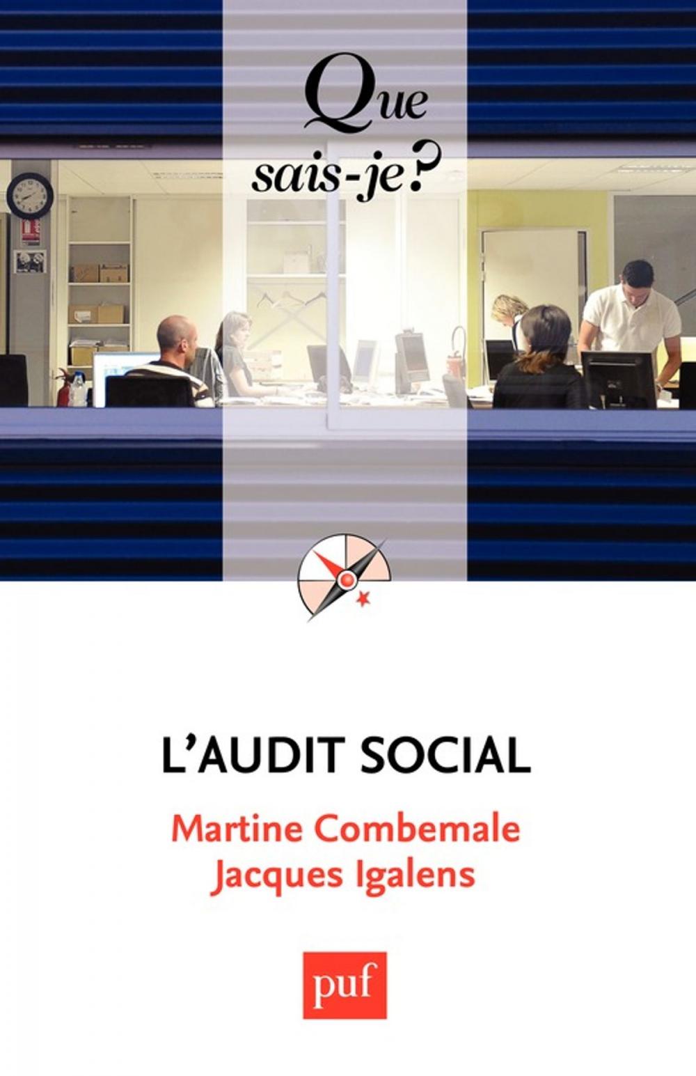 Big bigCover of L'audit social