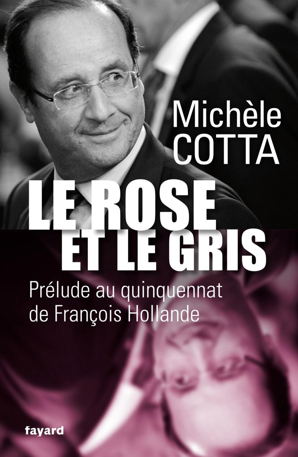 Big bigCover of Le Rose et le Gris