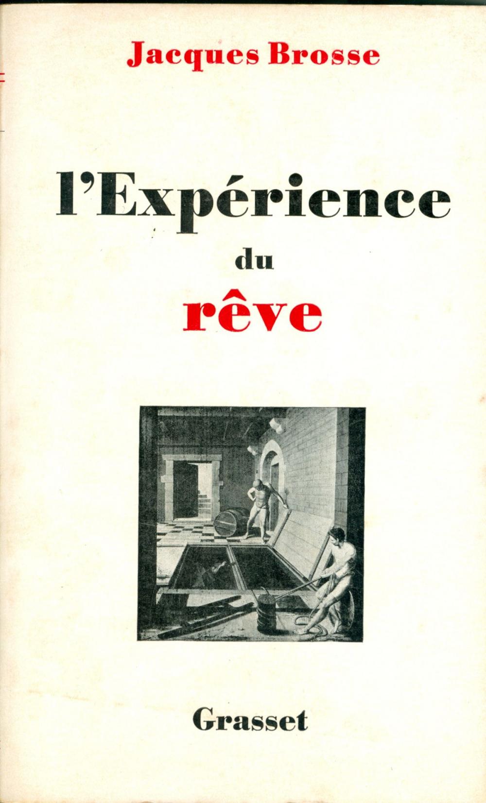 Big bigCover of L'expérience du rêve