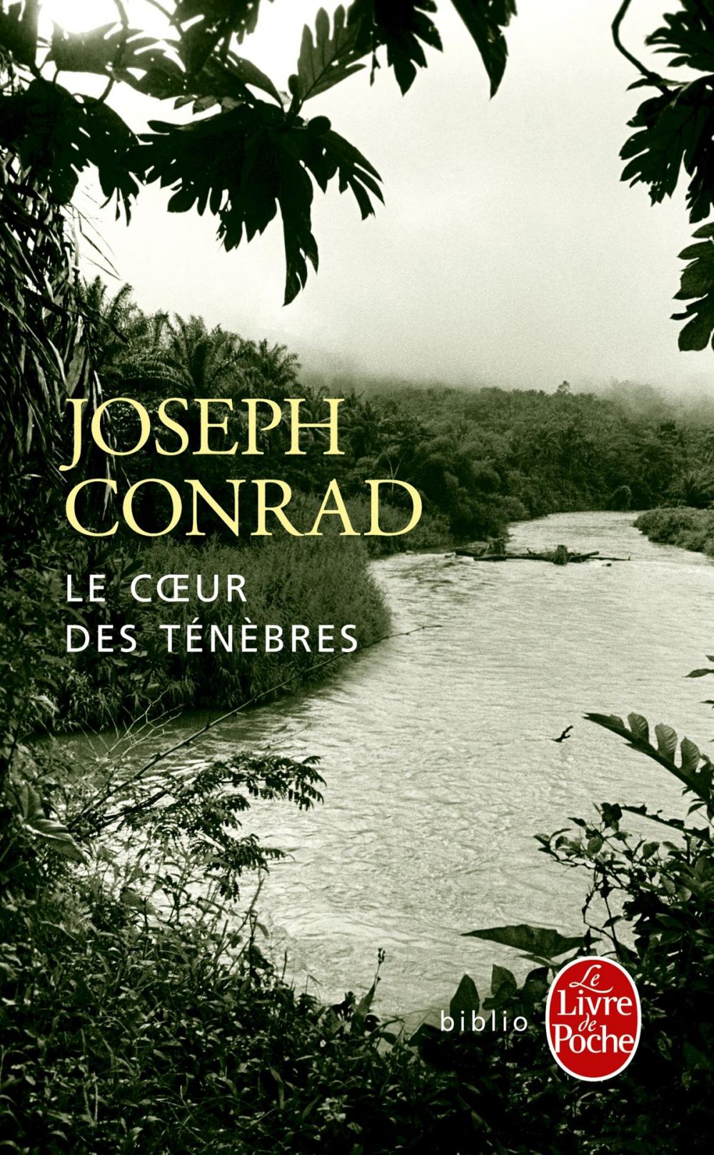 Big bigCover of Le coeur des ténèbres