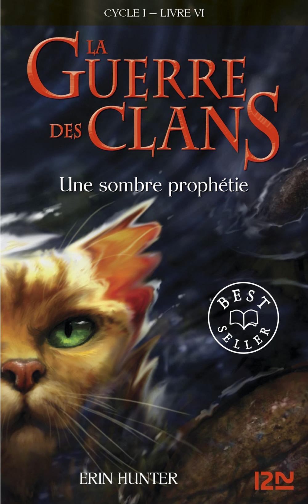 Big bigCover of La guerre des clans tome 6