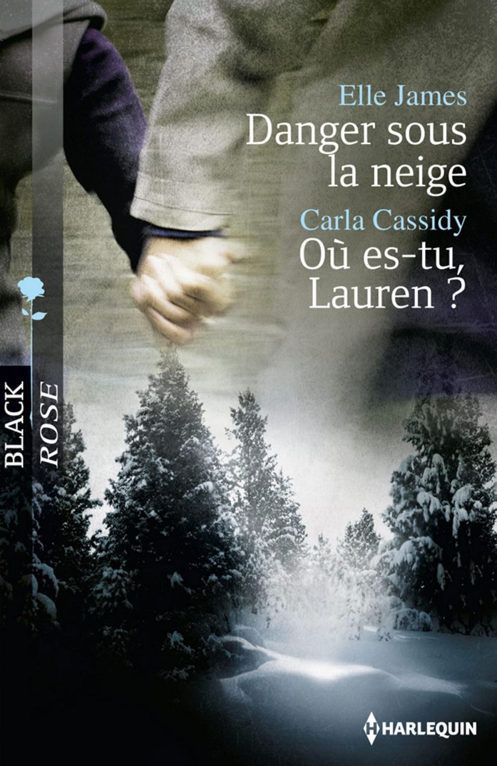 Big bigCover of Danger sous la neige - Où es-tu, Lauren ?