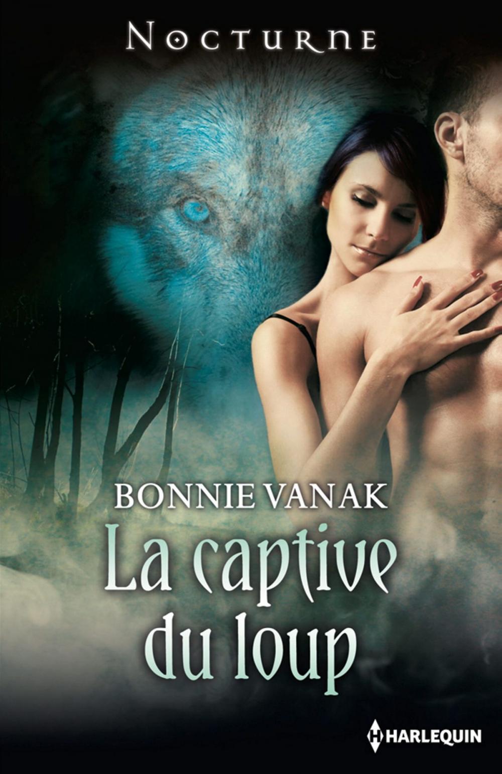 Big bigCover of La captive du loup