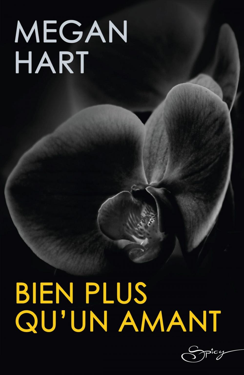 Big bigCover of Bien plus qu'un amant