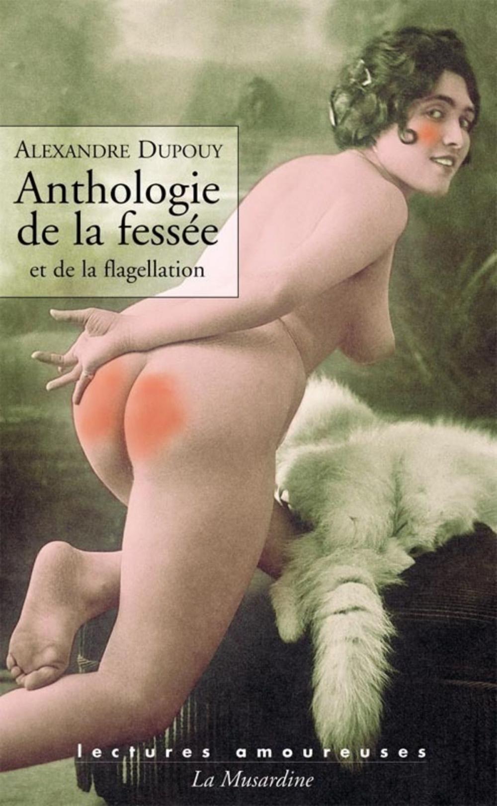 Big bigCover of Anthologie de la fessée