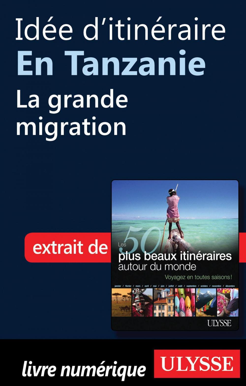 Big bigCover of Idée d'itinéraire en Tanzanie - la grande migration