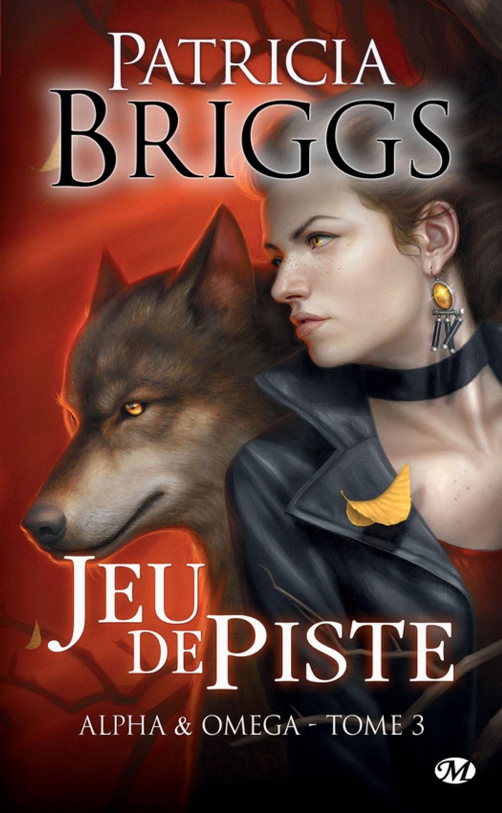 Big bigCover of Jeu de piste