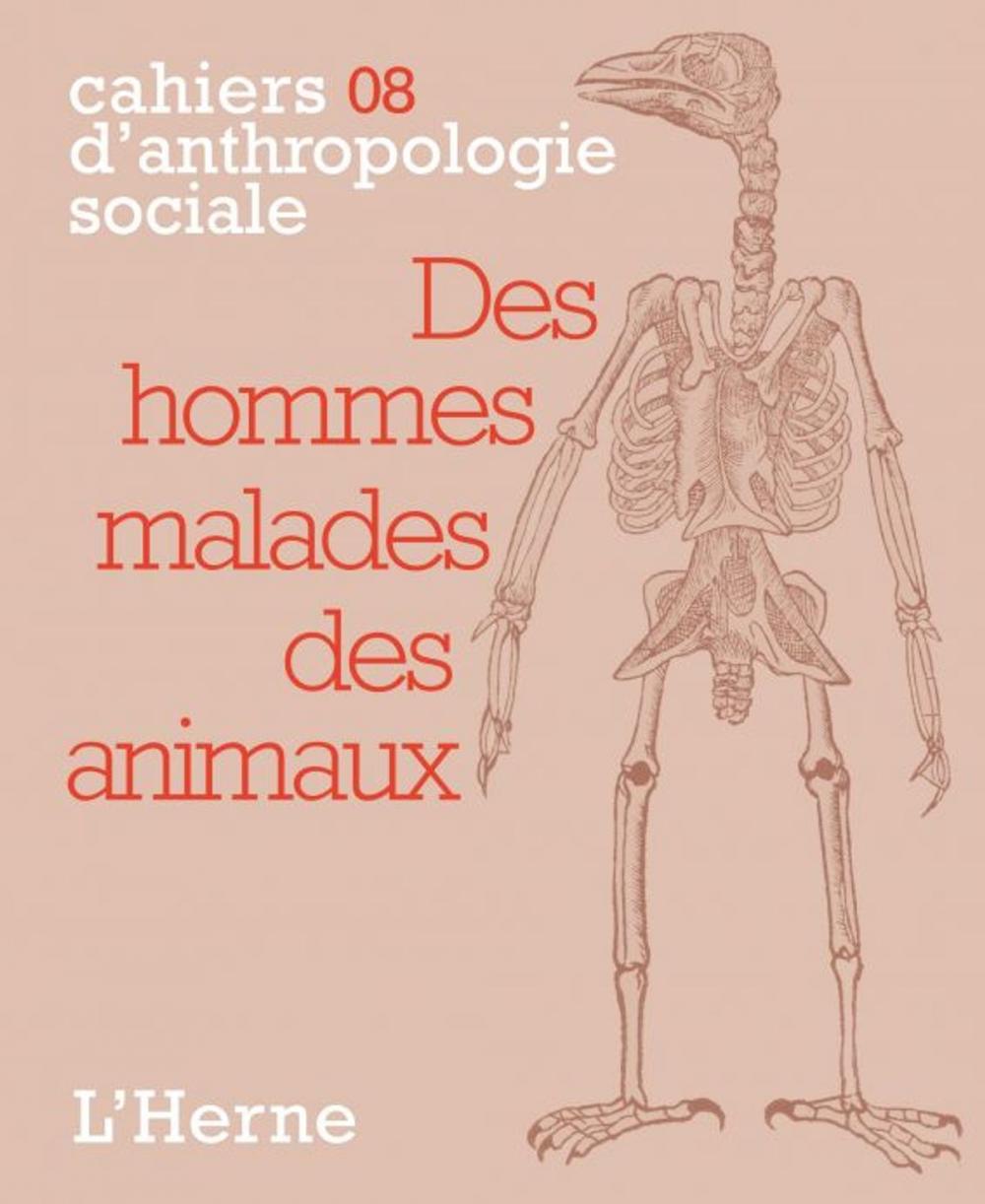 Big bigCover of Des hommes malades des animaux