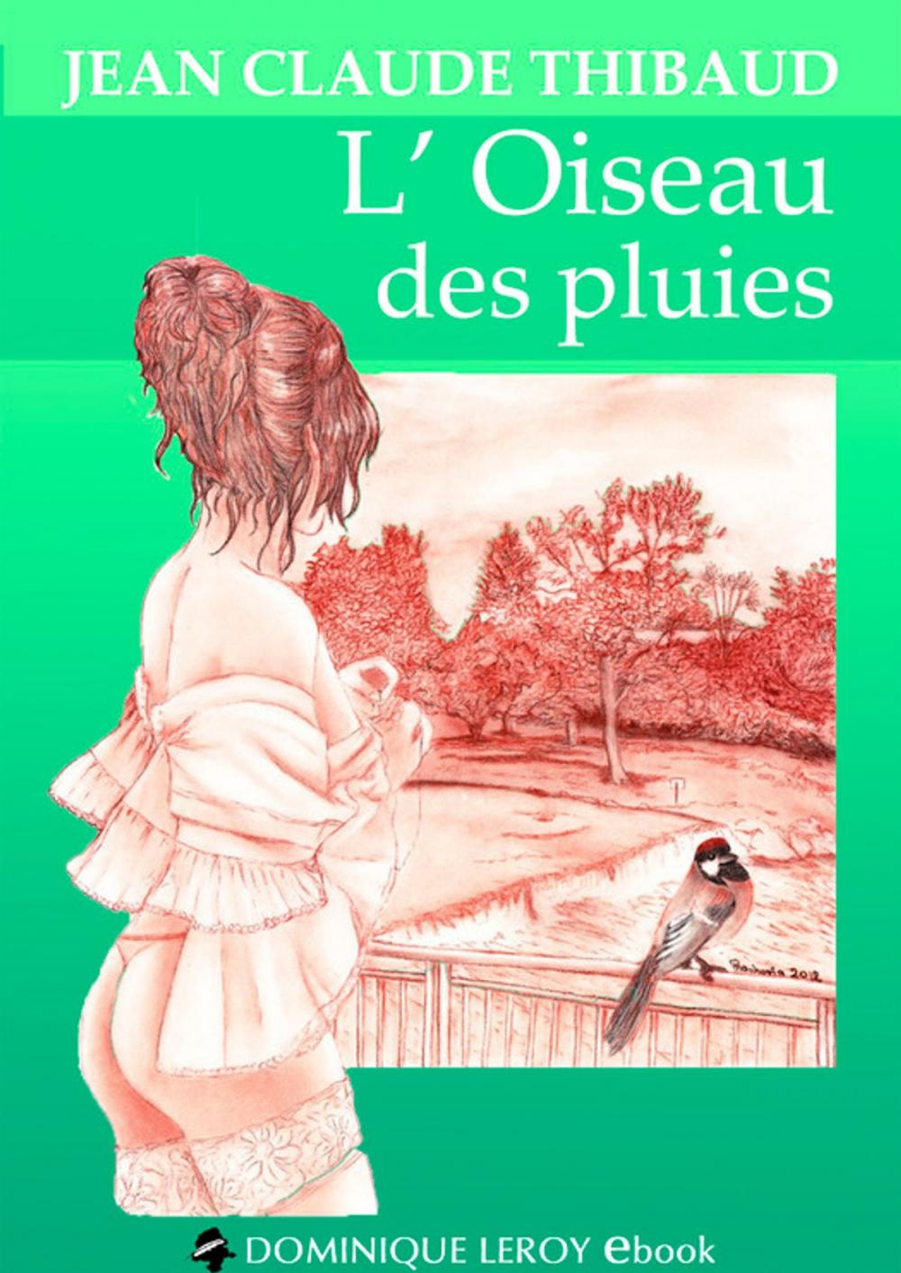 Big bigCover of L'Oiseau des pluies