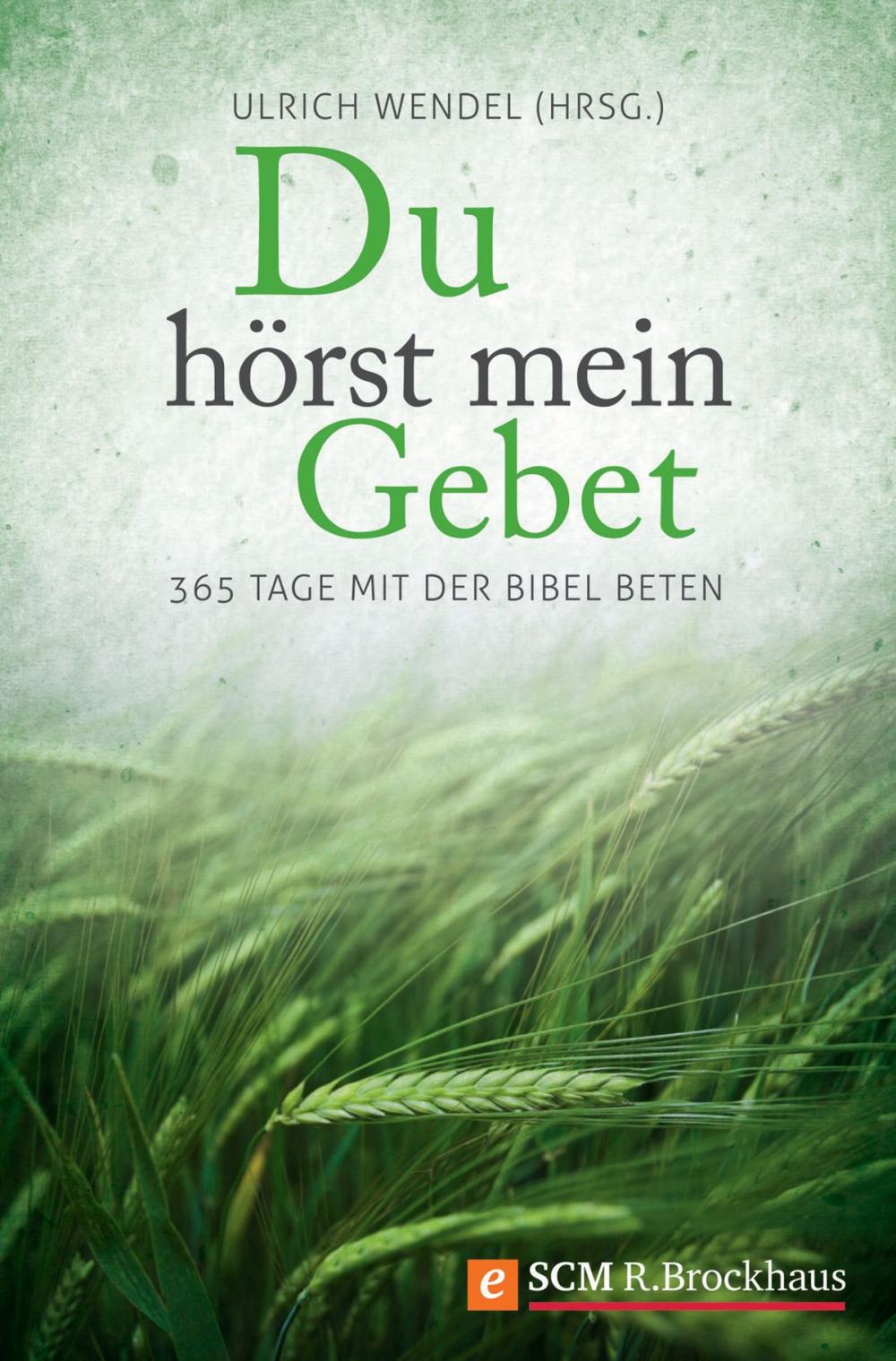 Big bigCover of Du hörst mein Gebet