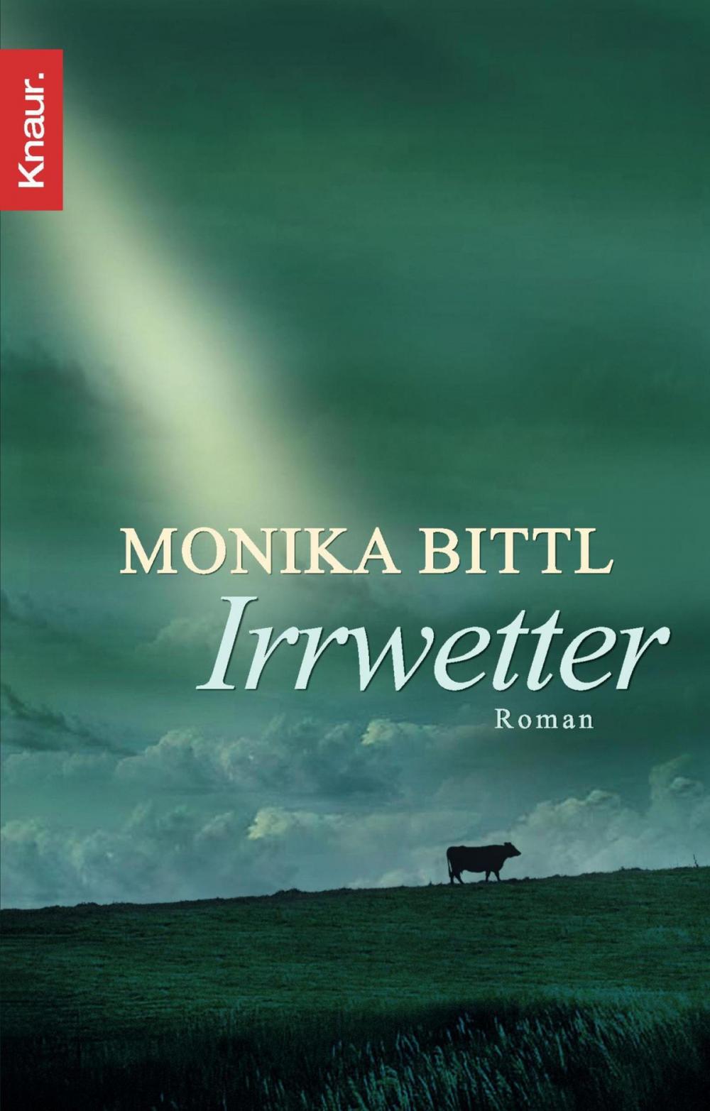 Big bigCover of Irrwetter