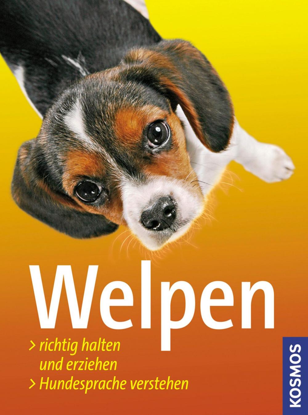 Big bigCover of Welpen