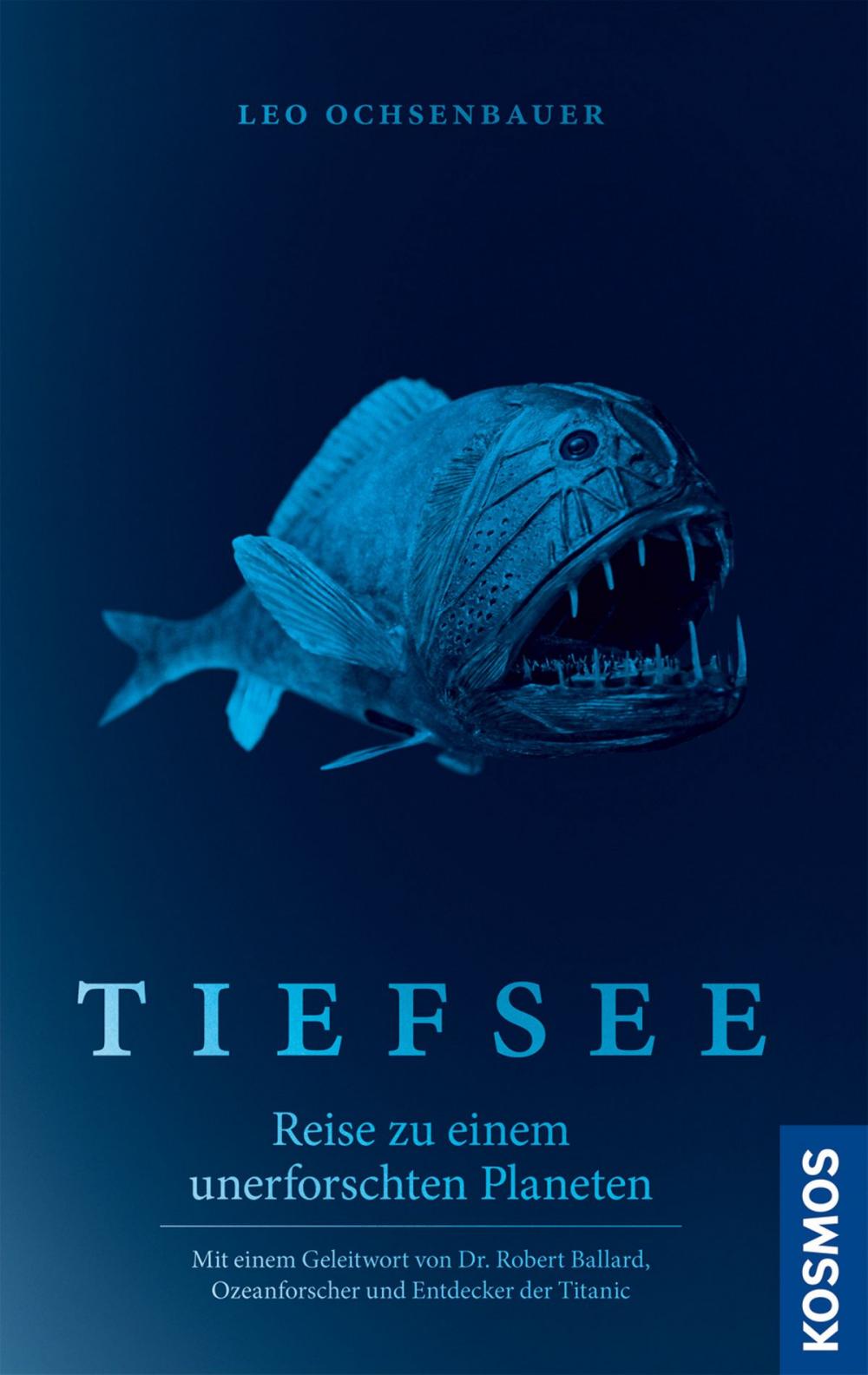 Big bigCover of Tiefsee