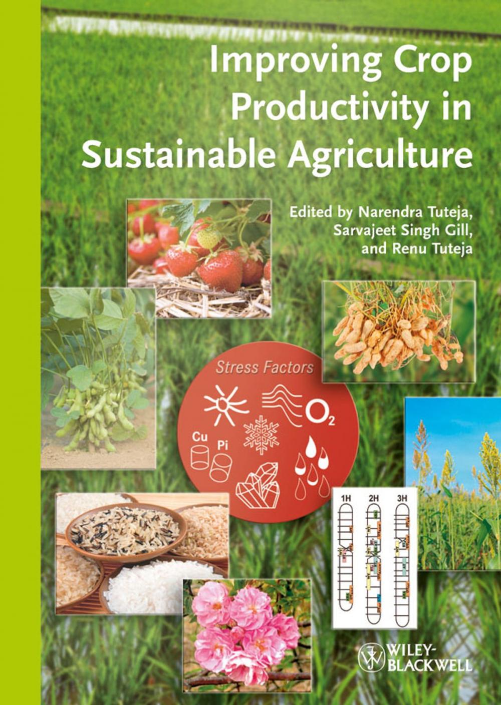 Big bigCover of Improving Crop Productivity in Sustainable Agriculture