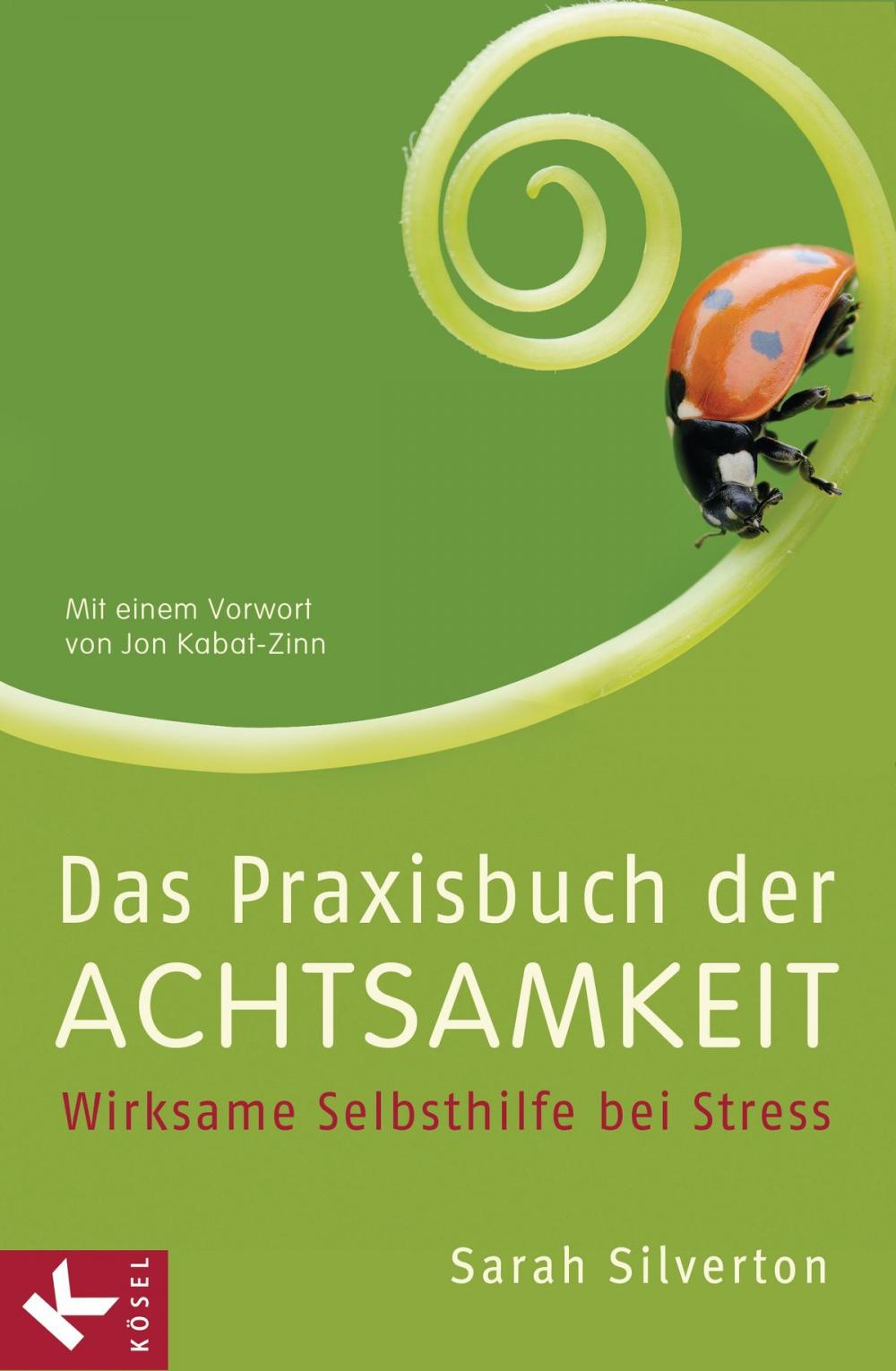 Big bigCover of Das Praxisbuch der Achtsamkeit