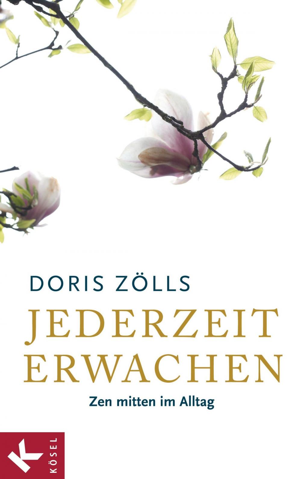 Big bigCover of Jederzeit erwachen