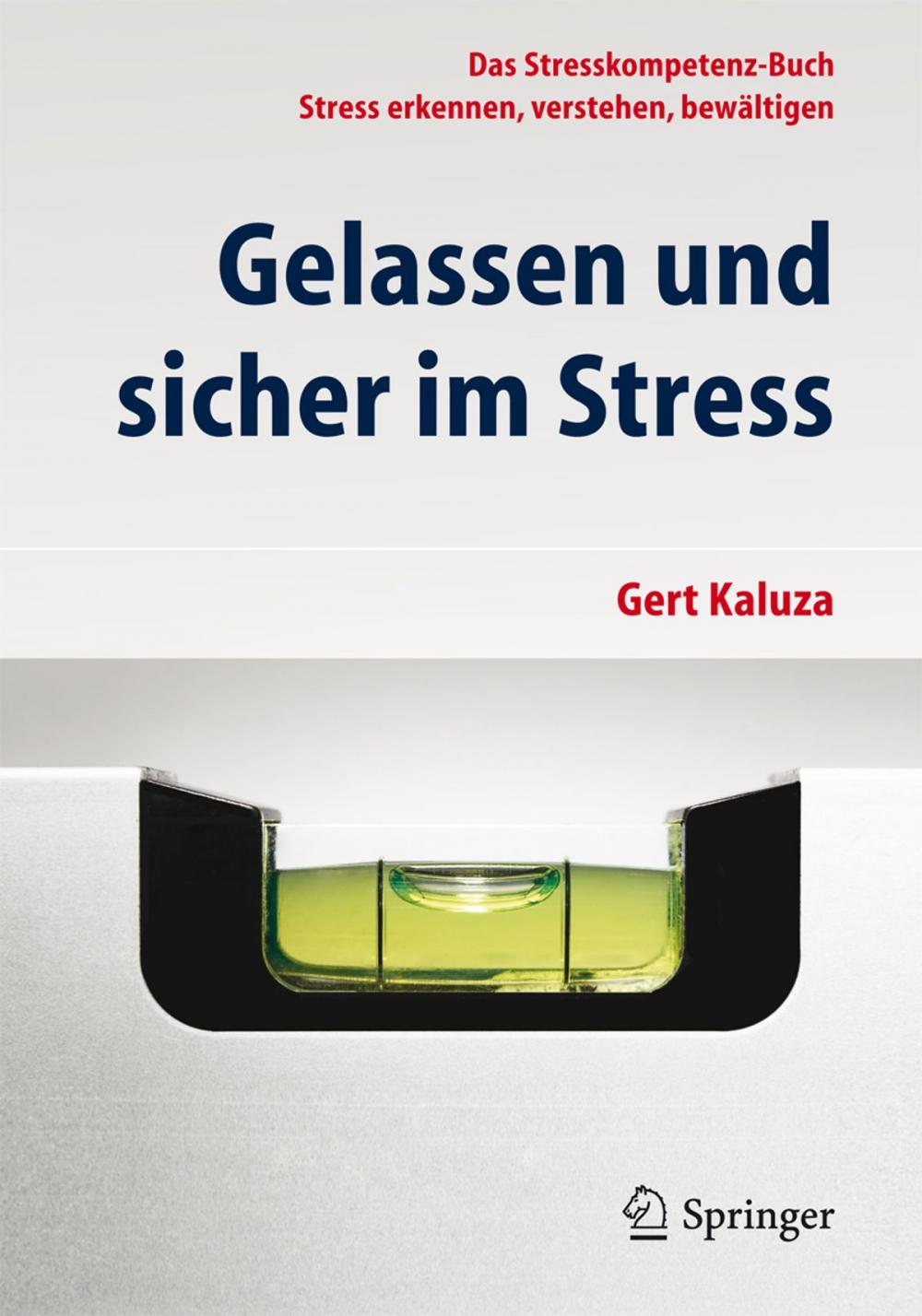 Big bigCover of Gelassen und sicher im Stress