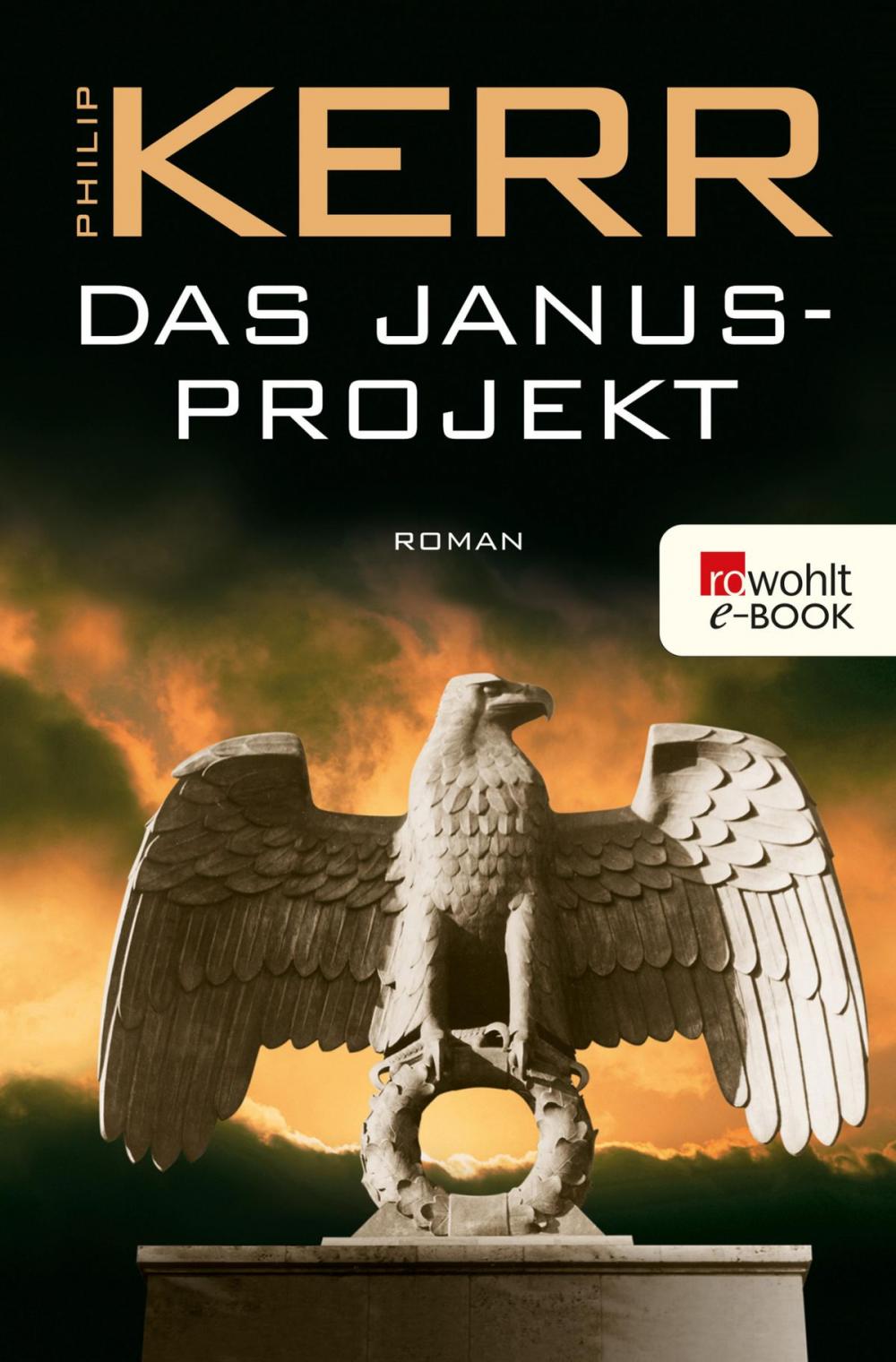 Big bigCover of Das Janusprojekt