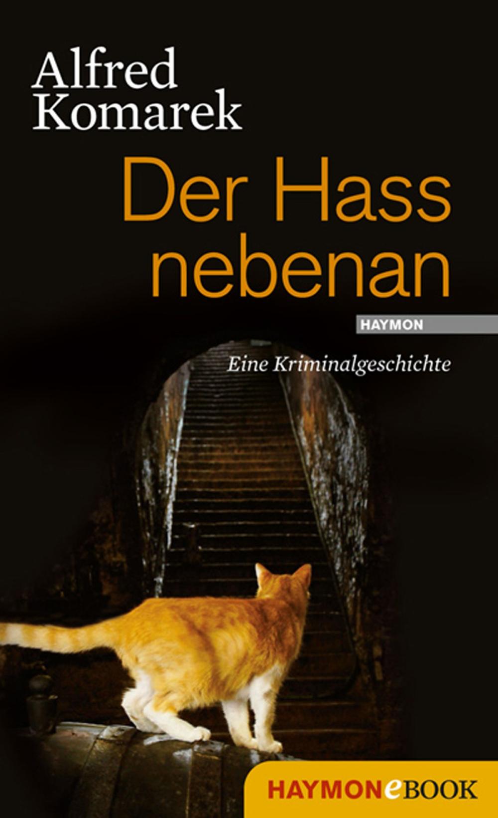 Big bigCover of Der Hass nebenan