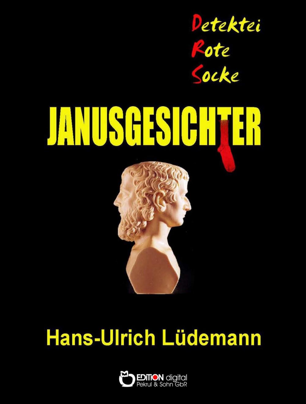 Big bigCover of Janusgesichter