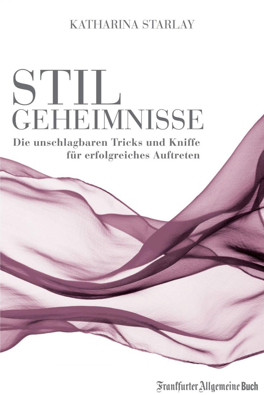 Big bigCover of Stilgeheimnisse