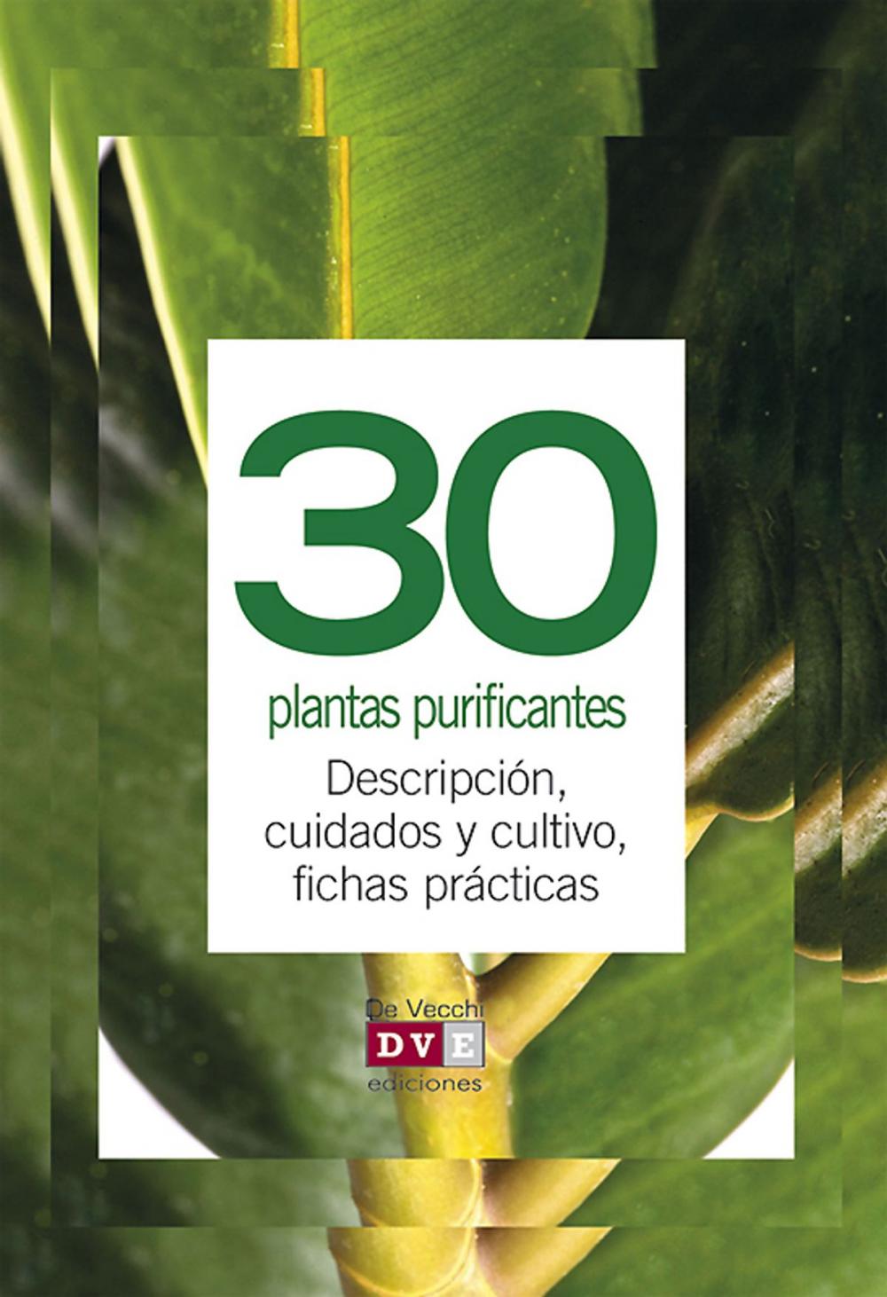 Big bigCover of 30 plantas purificantes